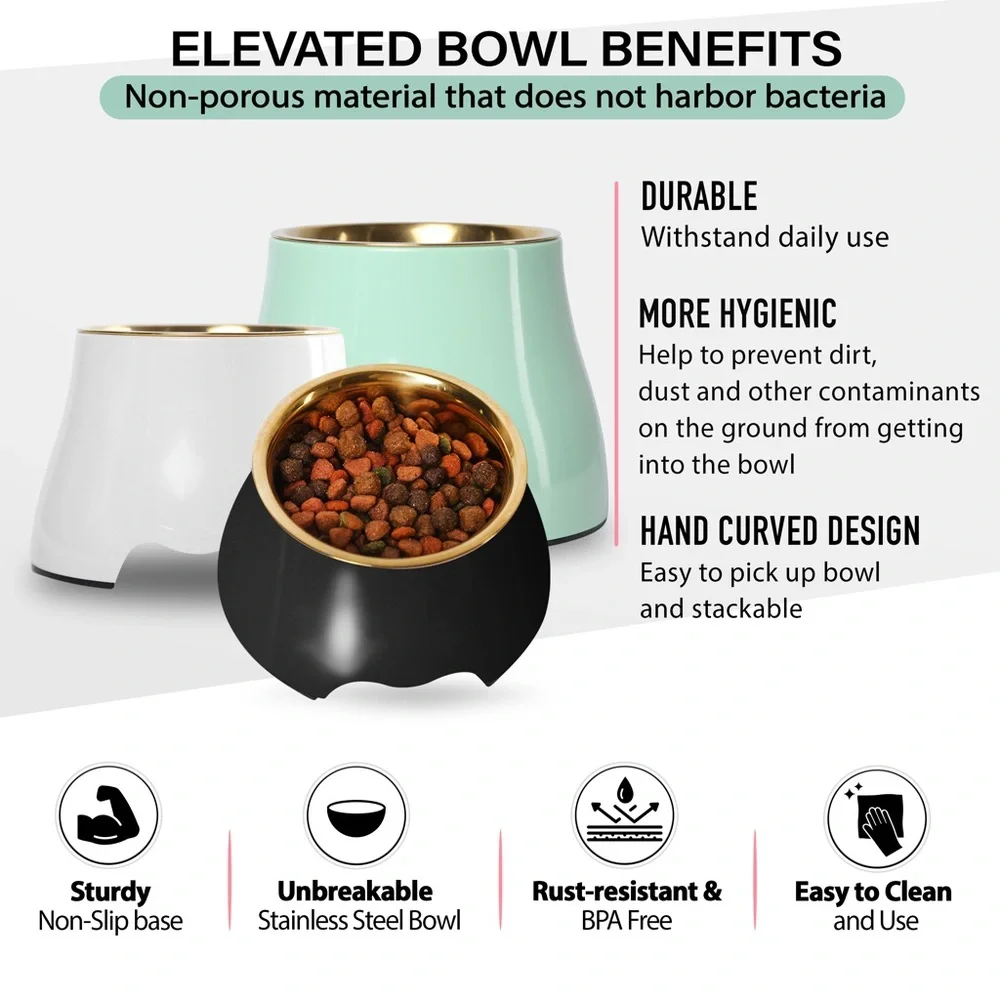 Elevated Gold Stainless Steel Dog Pet Bowl Mint Green Raises